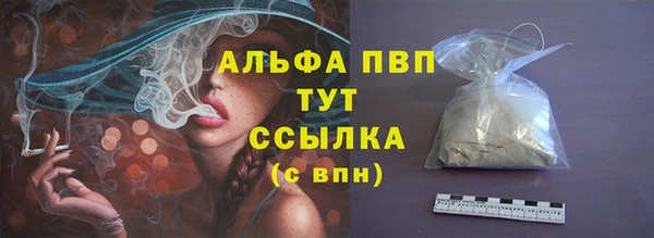 прущие грибы Нягань