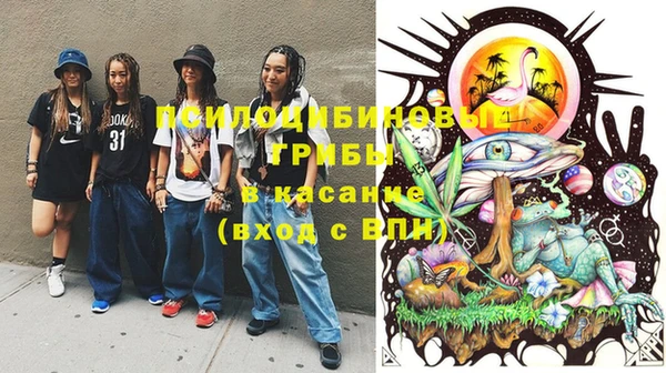 тгк Абинск